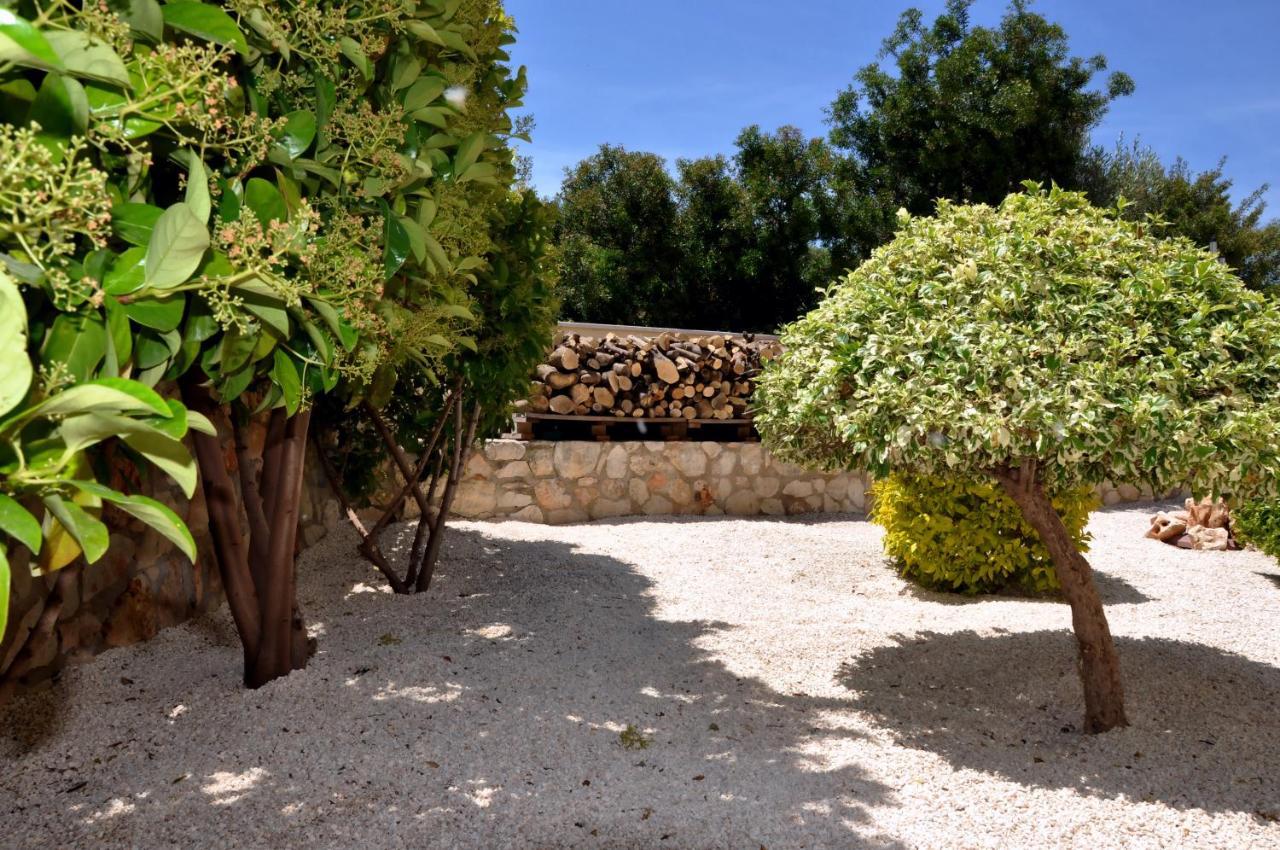 Villa Zefyros ネオ・チョリオ エクステリア 写真