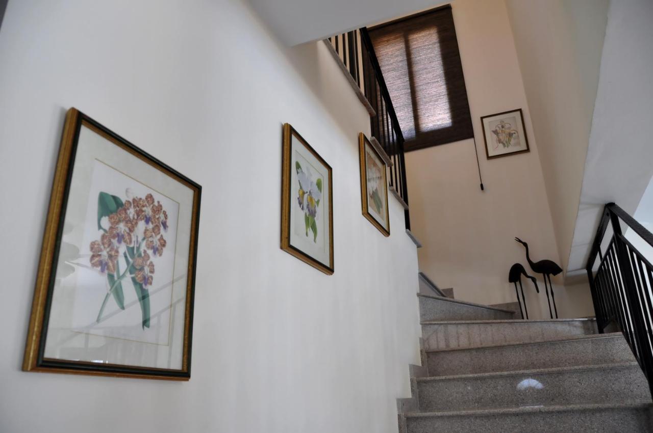 Villa Zefyros ネオ・チョリオ エクステリア 写真